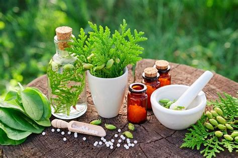 herbal supplements  remedies market  anticipated  expand