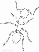 Fourmi Coloring Ants Hormigas Formica Colorare Insectos Dibujos Cigale Disegni Robaki Insect Kolorowanki Fourmis Owady Kleurplaat Bordado Insekten Mier Leaf sketch template