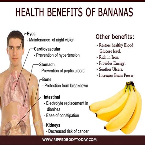 Banana Health Benefits👍👍 Musely