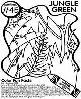 Coloring Green Pages Crayola sketch template