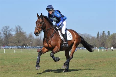 gallop  horse correctly equo