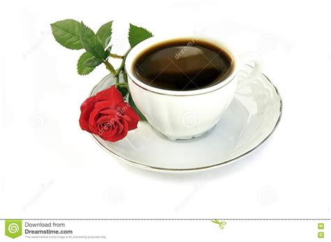 cup of coffee and small red rose stock image image of open porcelain 9573329