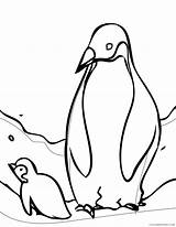 Penguin Coloring4free sketch template