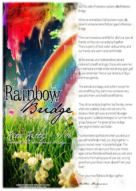 rainbow bridge dog poem  pets animals