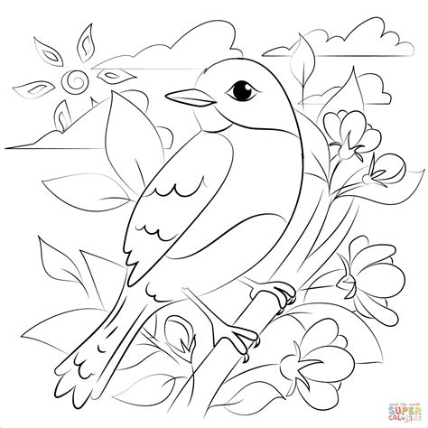 bluebird coloring page  printable coloring pages