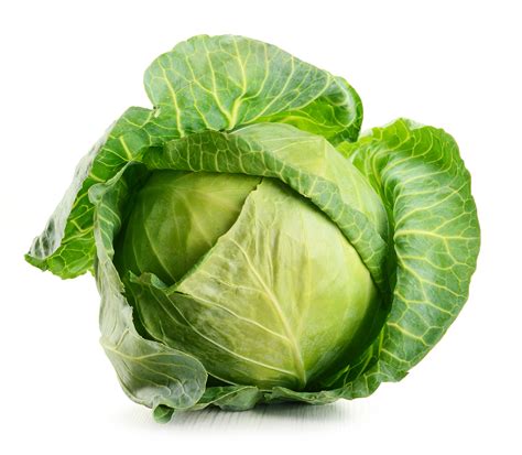 meaning  symbolism   word cabbage