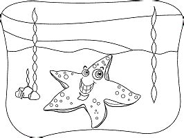 star starfish  sea star coloring pages  printable activities