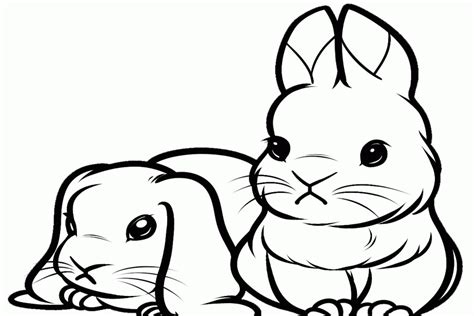 cute rabbit coloring page coloring home