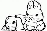 Bunny Coloring Pages Cute Bunnies Baby Print Rabbit Real Color Kids Cat Life Popular Family Animals Some sketch template