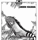 Lizard Iguana Critter Squad sketch template