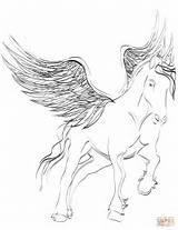 Pegasus Ausmalbilder Einhorn sketch template
