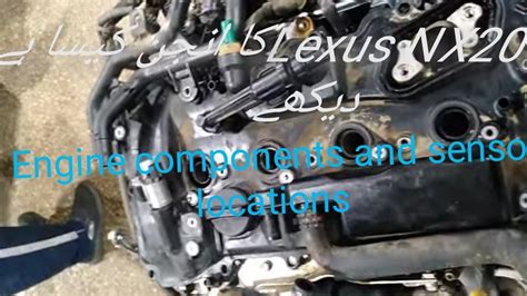lexus nxt   cylc engine engine sensor location fan belt digram tarbo gdi  mpi