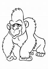 Gorilla Gorilas Orangutan Ausmalbilder Gorila Gorillas Colorir Gorillaz Ausmalbild Imprimir Dibujar Coloringbay Clipartmag Letzte Godzilla Q2 sketch template