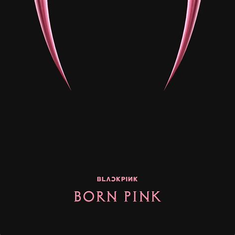 blackpink  album born pink box set ver   album covers blackpink pink
