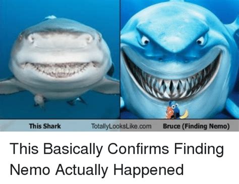 This Shark Totallylookslikecom Bruce Finding Nemo This