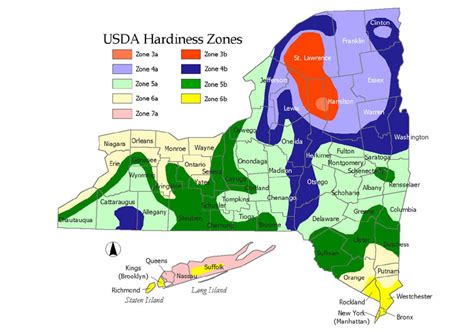 hardiness zone maps pacific bulb society