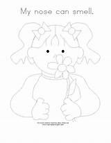 Smell Trace Girl Senses Kids Worksheet Preschool Color Worksheets Kindergarten Comment First sketch template