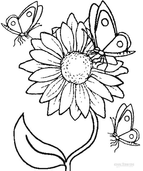 printable sunflower coloring pages  kids coolbkids