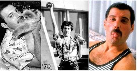 25 Photos Of Freddie Mercury That Will Make You Love And