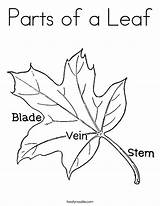 Leaf Parts Coloring Leaves Fall Pages Blade September Kindergarten Science Starts Worksheets Insects Noodle Food Tree Twistynoodle Twisty Long Worksheet sketch template