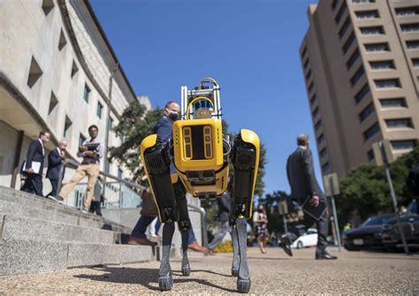 video  york city  deploying robot police dogs