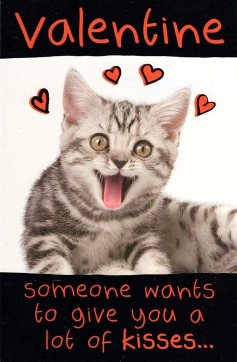 Funny Lots Of Kisses Kitten Valentine S Day Greeting Card
