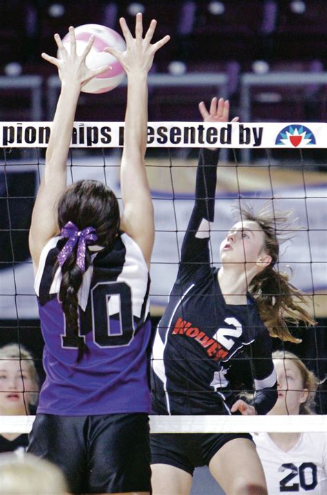Class A Volleyball Waldorf Falls To Elida In Semis But Lady Wolves