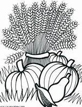 Cornucopia Harvest Malvorlagen Weizen Leaves Herbst Paesaggi Getcolorings Galery Crayola Turkey sketch template