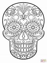 Coloring Skull Sugar Pages Easy Printable sketch template