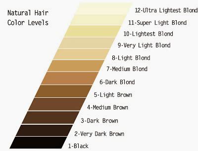 level system  hair color   work  rarely killerstrands hair clinic