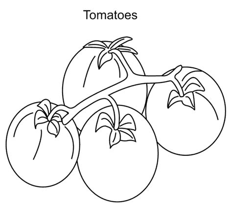tomatoes coloring pages    print