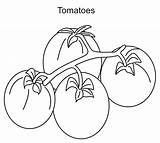 Coloring Tomatoes Pages Vegetables Fruits sketch template