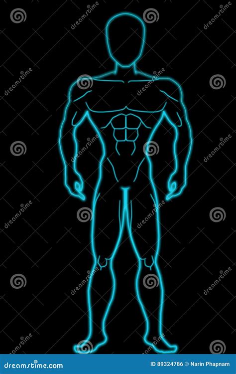 front side adult man human body illustration stock illustration illustration  isolated blue