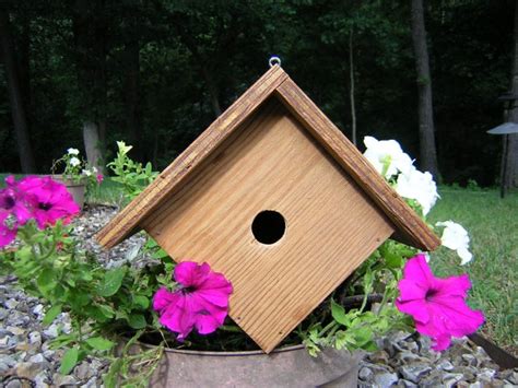 build  wren bird house   plans craftybirdscom