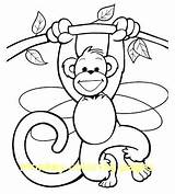 Swinging Monkey Coloring Monkeys Getcolorings Little sketch template