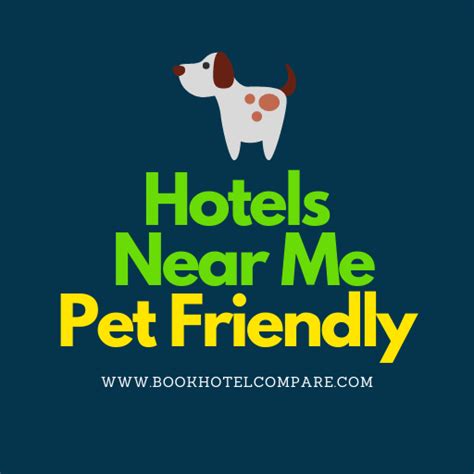 affordable hotels   pet friendly