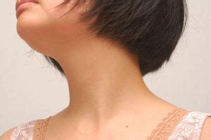 anatomy   human neck  interesting facts