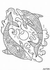 Albanysinsanity Coloring Pages sketch template