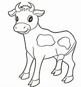 Coloring Cow Baby Pages Printable Animals Calf Clipart Chicago Animal Farm Bulls Print Longhorn Cute Drawing Cows Adults Sheet Supercoloring sketch template
