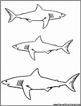 Coloring Shark Megalodon Pages Great Printable Drawing Template Color Bull Getdrawings Plesiosaur Skill Popular Fun Getcolorings sketch template