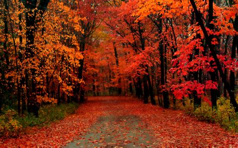 gallery  village  lohrville alberi  autunno paesaggio