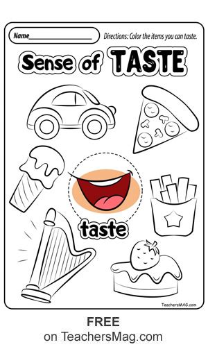 senses coloring page preschool