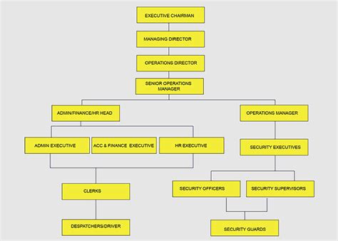 dhl malaysia deutsche post hierarchical organization dhl express organizational structure