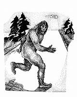 Bigfoot Sasquatch Godfrey sketch template