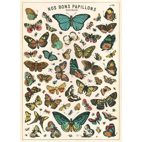 French Butterfly Chart Papillons Vintage Style Poster At