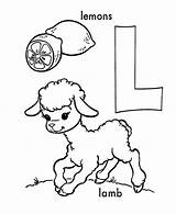 Coloring Lamb Lemons Alphabet Learn sketch template