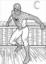 Spiderman Coloring Pages Toddlers Printable Credit Info sketch template