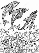 Coloring Dolphin Zentangle Dolphins Delfines Delfin Mandalas Fondo Coloringpagesfortoddlers Olas Ausdrucken T3 Dibujados Ausmalen sketch template