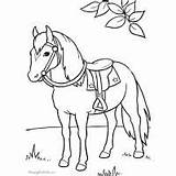 Coloring Horse Pages Palomino Print Color Kids sketch template