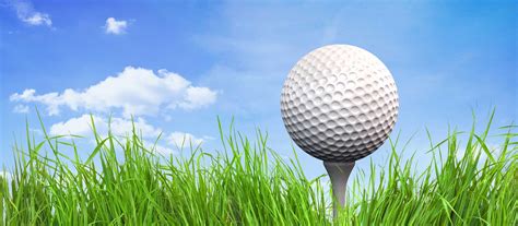 golf ball  tee vanguard golf